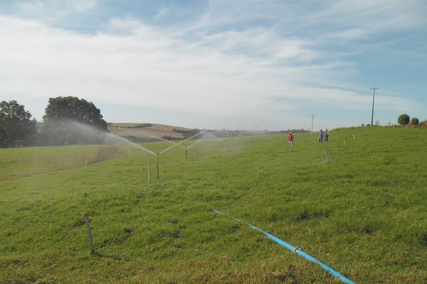 Tenente Portela coloca para funcionar projetos de irrigação financiados pelo Governo e agricultores