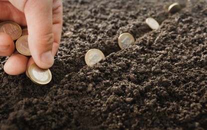 Recursos para custear a safra agrícola podem aumentar