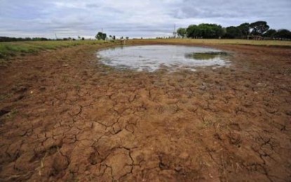 Estiagem: municípios gaúchos em situação de emergência já perderam mais de R$ 230 milhões