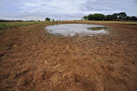 Estiagem: municípios gaúchos em situação de emergência já perderam mais de R$ 230 milhões