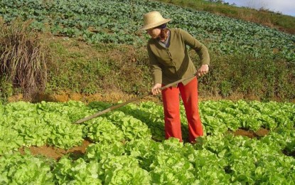 RS: Agricultores familiares recebem recursos de R$ 798 mil