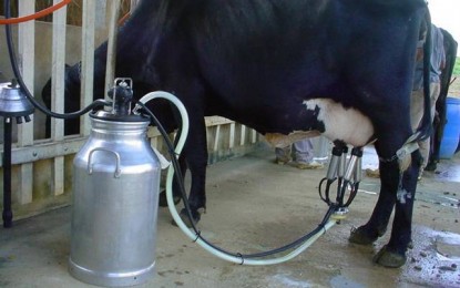 Agricultura quer incluir segmento do leite no programa de exportações