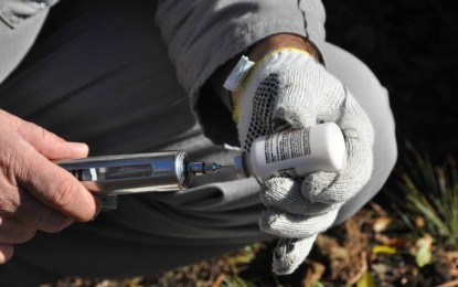 Falta de vacinação contra aftosa no PR pressiona o RS