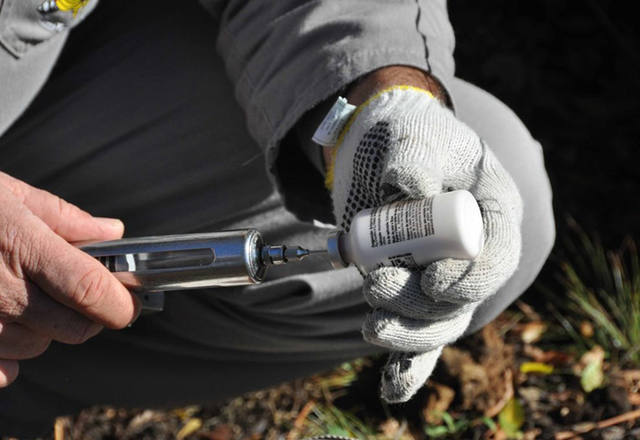 Falta de vacinação contra aftosa no PR pressiona o RS