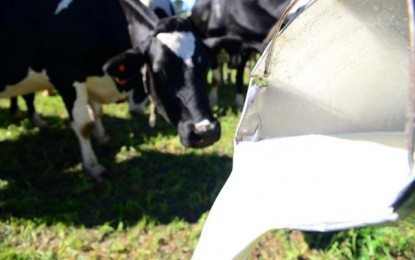 Indústria aposta em programas que dão bônus ao produtor para melhorar qualidade do leite