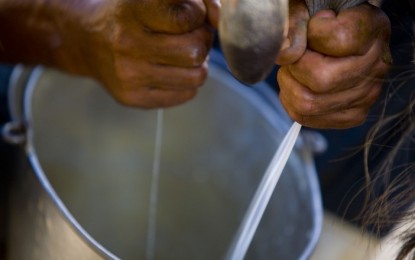 Preço do leite voltou a subir em abril