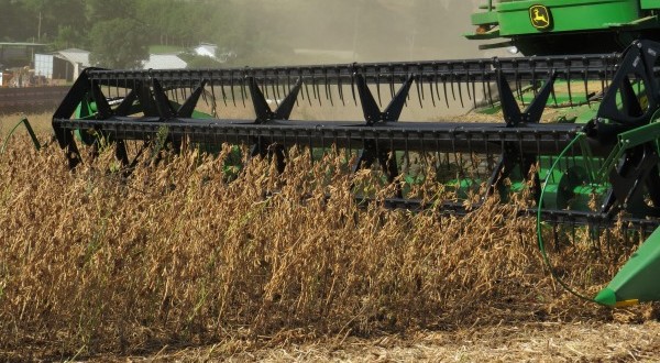 Colheita da soja chega ao fim com recorde de 15,2 milhões de toneladas