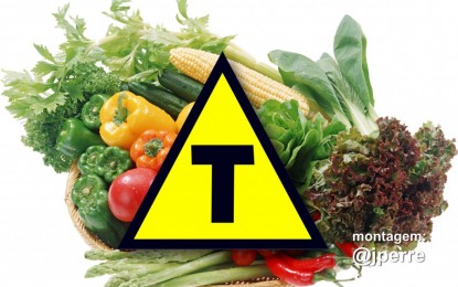 Por que tanta rejeição, se transgênicos tornam agricultura mais sustentável?