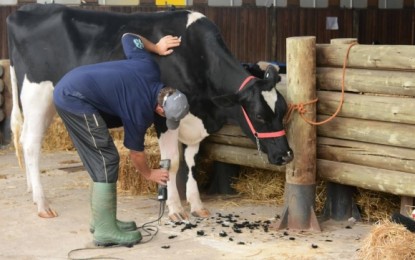 Expoleite começou hoje (27) em Esteio RS