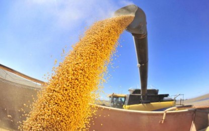 Governo anuncia liberação de R$ 28,9 bilhões para agricultura familiar