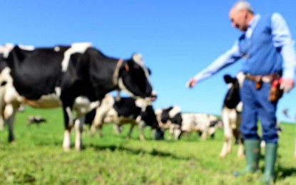 RS pode ter perdido mais de 20 mil produtores de leite em cinco anos, estima Fetag