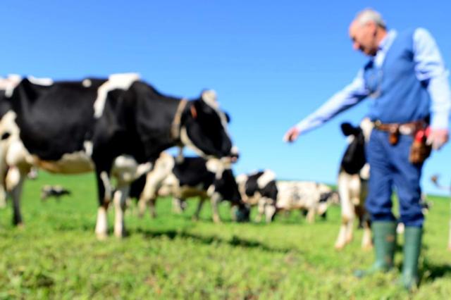 RS pode ter perdido mais de 20 mil produtores de leite em cinco anos, estima Fetag