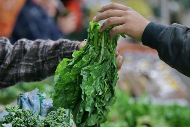 Produzidos sem agrotóxicos, alimentos orgânicos buscam mais espaço na mesa do consumidor