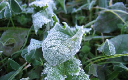 Meteorologistas dizem que inverno será menos rigoroso no RS neste ano