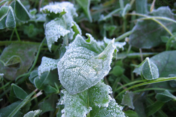 Meteorologistas dizem que inverno será menos rigoroso no RS neste ano