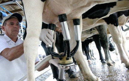 Dilma sanciona monetização dos créditos do leite