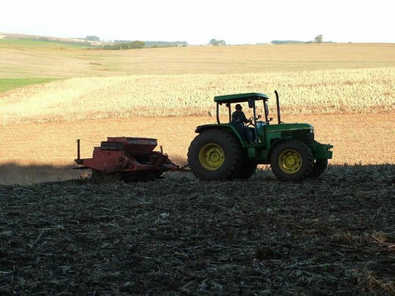 Plantio de trigo no RS atinge 42% da área prevista, diz Emater