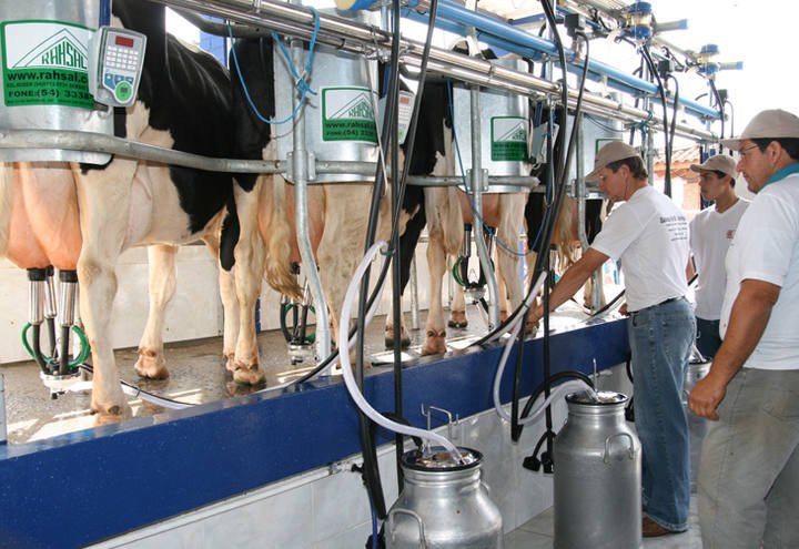 IGL e Fundesa discutem a criação de um banco de dados para o leite no RS