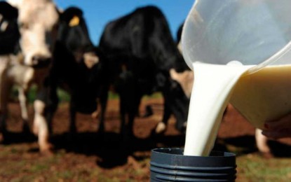 Pequenos produtores de leite terão capacitação profissional