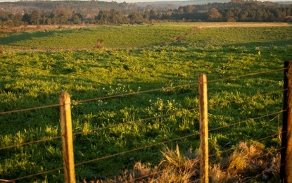 Plano de reforma agrária será anunciado por Dilma nas próximas semanas