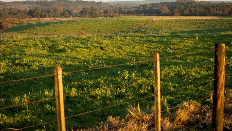 Plano de reforma agrária será anunciado por Dilma nas próximas semanas