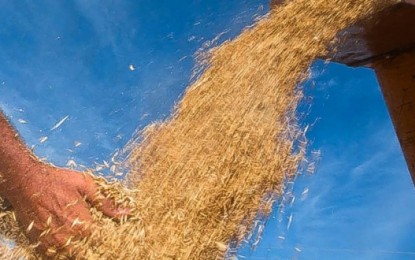 Plano Safra destinará R$187,7 bilhões para produtores rurais