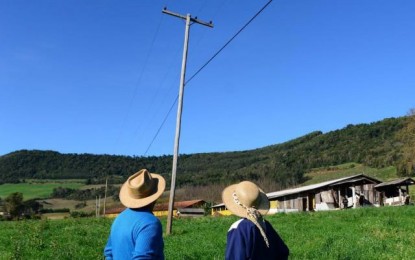 Limitações na rede elétrica travam modernização de metade das pequenas e médias propriedades no RS