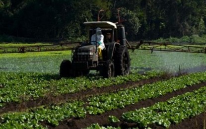 Agricultor contrata quase 90% dos recursos para Crédito Rural