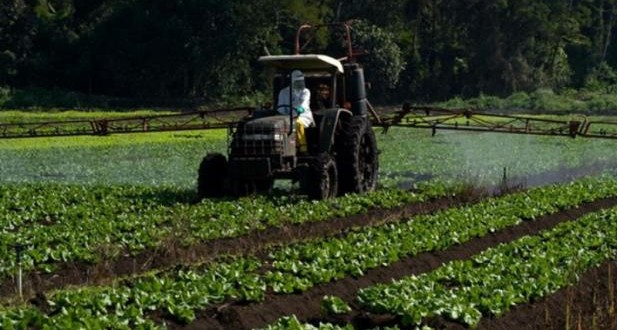 Agricultor contrata quase 90% dos recursos para Crédito Rural
