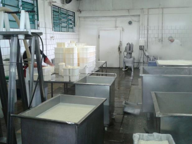 MP denuncia 10 pessoas por fraude na produção de queijo no RS