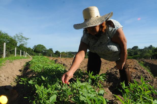Estado libera R$ 29 milhões para projetos da agricultura familiar