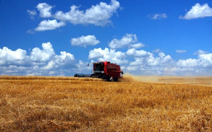 Setor rural estima aumento de 15,6% no Valor Bruto da Produção Agropecuária