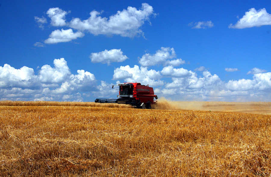 Setor rural estima aumento de 15,6% no Valor Bruto da Produção Agropecuária
