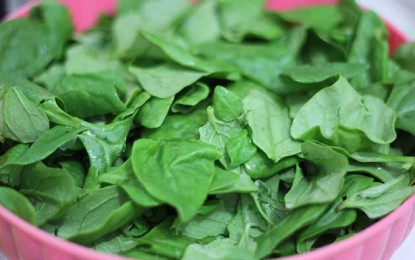 Não imaginas o que o espinafre faz ao nosso corpo quando o consumimos