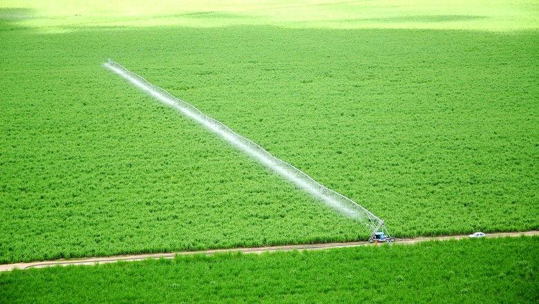 Esgoto tratado favorece agricultura e poupa água para consumo, mostra estudo