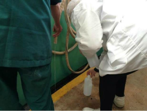 Justiça bloqueia bens de mais duas empresas envolvidas na Leite Compen$ado