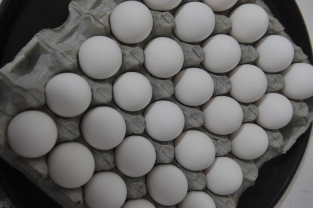 Japão abre mercado para ovos do Brasil
