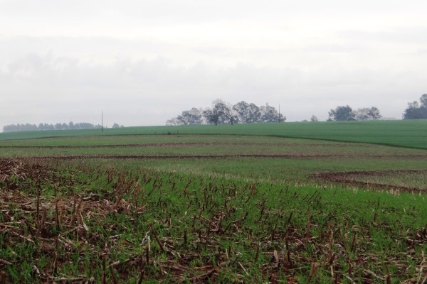 Temperatura começa mudar