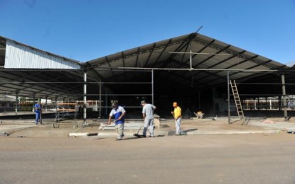 Parque Assis Brasil deve ser liberado a uma semana da Expointer