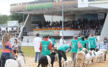 Parque de Exposições deve ser liberado nesta segunda
