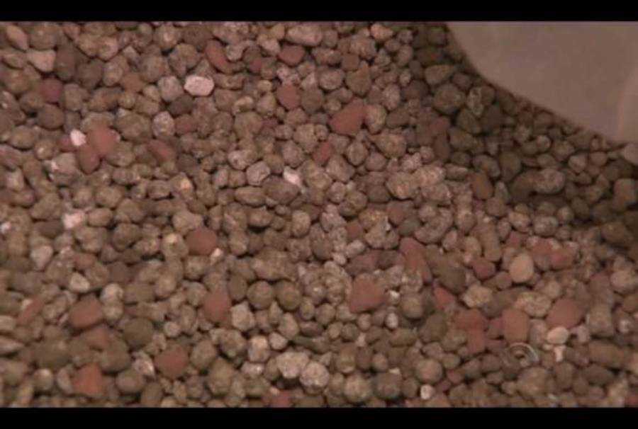 Novo fertilizante pode reduzir custos