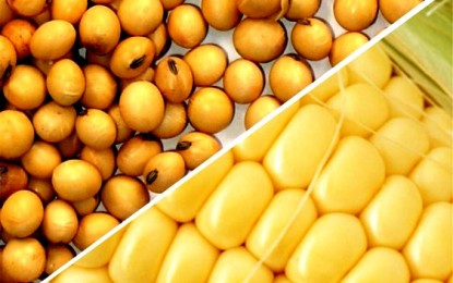 Ministério da Agricultura publica preços mínimos para culturas de verão