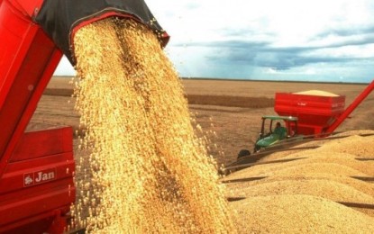 Safra de grãos do Rio Grande do Sul deve cair 7%, projeta Emater