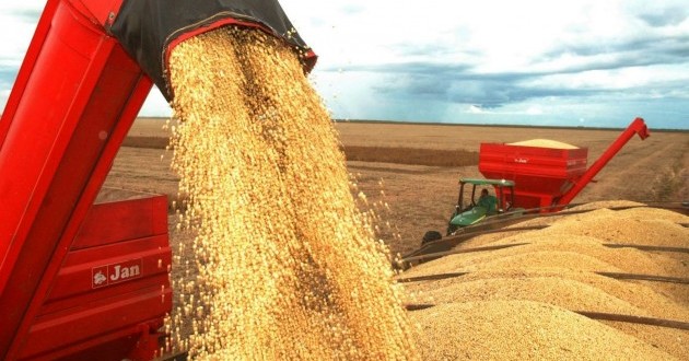 Safra de grãos do Rio Grande do Sul deve cair 7%, projeta Emater