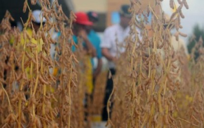 PIB gaúcho tem quinta queda consecutiva, aponta FEE