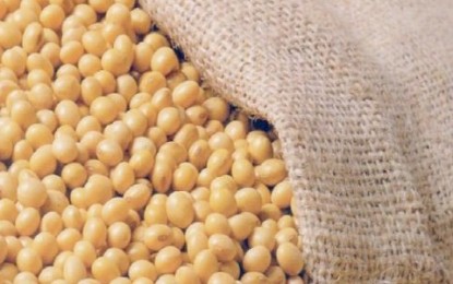 Exportações de soja atingem recorde de 45,8 milhões de toneladas