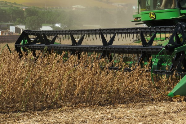 Produtividade do milho e da soja superam expectativas no RS