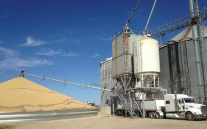 Agricultores Buscam Novas Estratégias para Vender Melhor