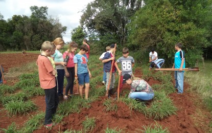 Três Passos, Projeto Viveiro Pedagógico Estimula Educação Ambiental nas Escolas do Campo