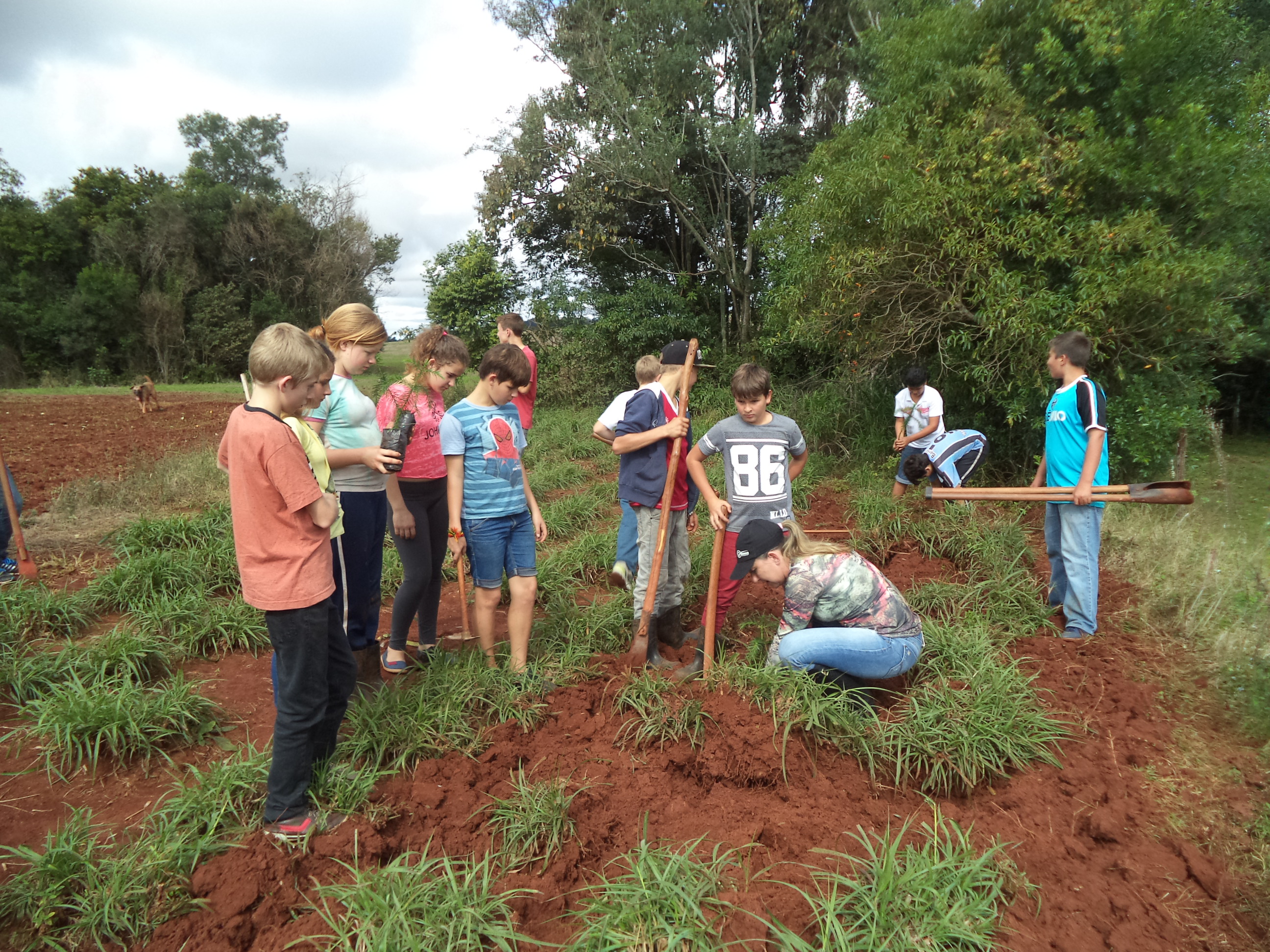 Três Passos, Projeto Viveiro Pedagógico Estimula Educação Ambiental nas Escolas do Campo